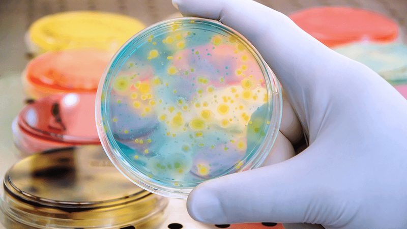 生物试剂选购，如何平衡品质与性价比？**