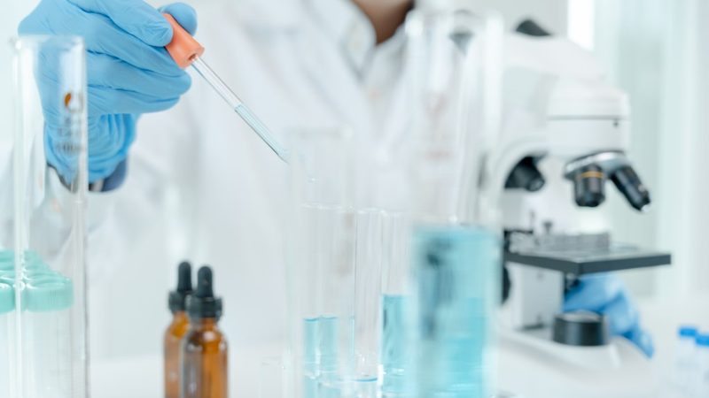 常规PCR酶：揭秘十大品牌背后的技术奥秘