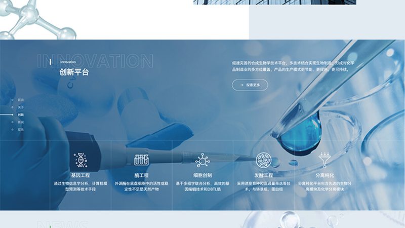 DNA连接酶失效原因解析：揭秘影响酶活性的关键因素