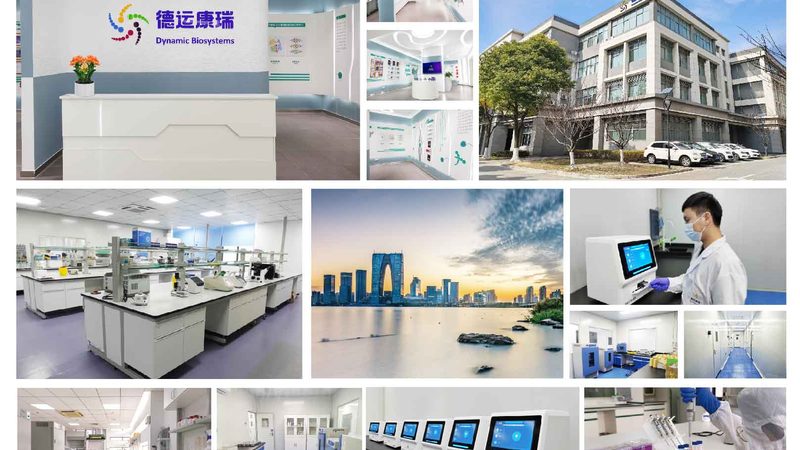 鼠抗人单克隆抗体储存条件：揭秘关键因素与标准**