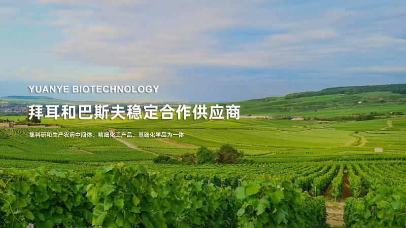 生物科技企业网站转化率低，问题出在哪儿
