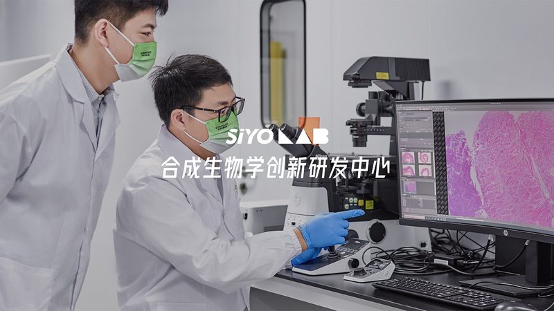 干细胞培养基的选择：揭秘其关键因素与误区
