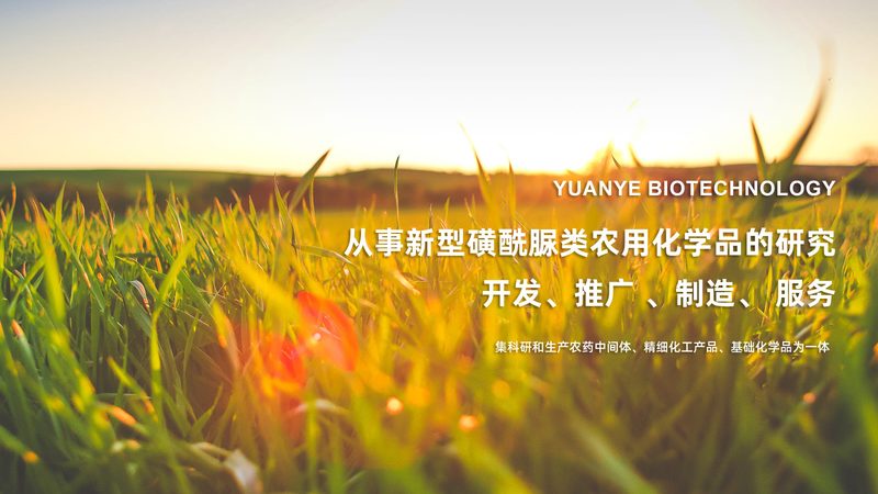 多肽合成外包：揭秘其价格构成与行情走向