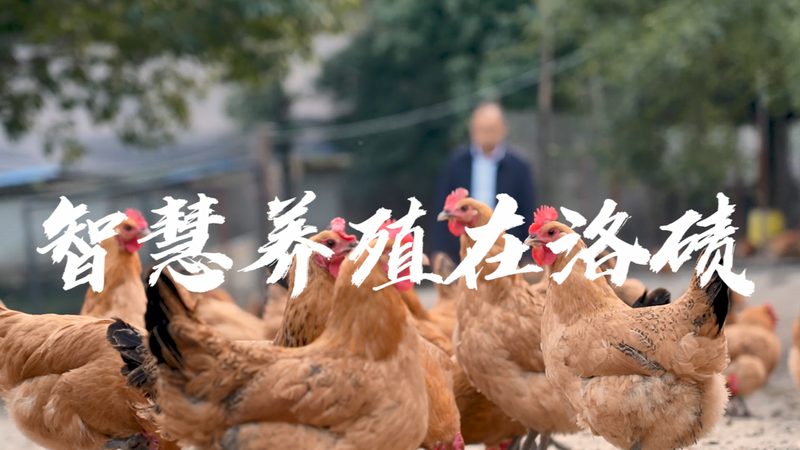 成都生物医药外包报价单：揭秘生物医药外包服务的价格构成