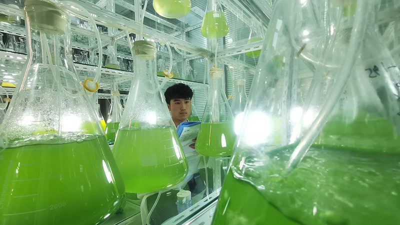一次性与可重复使用：实验耗材的抉择之道